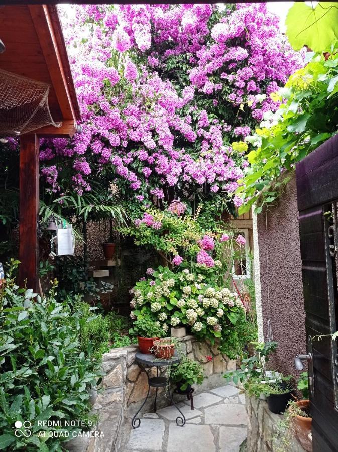 Apartman I Sobe Cule Cres Exterior photo